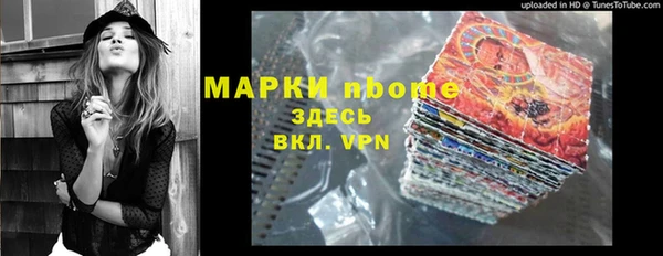 PSILOCYBIN Алзамай