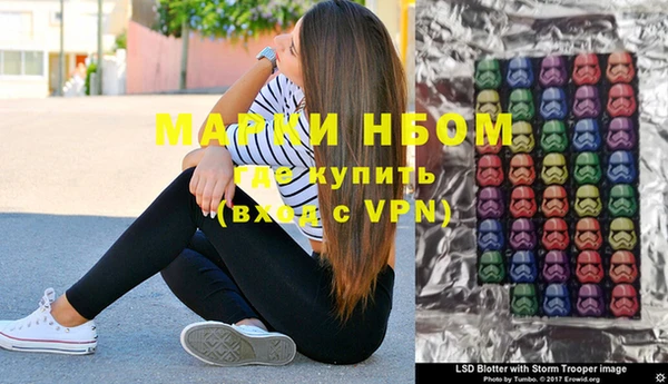 PSILOCYBIN Алзамай