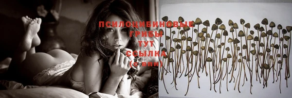 spice Алексеевка