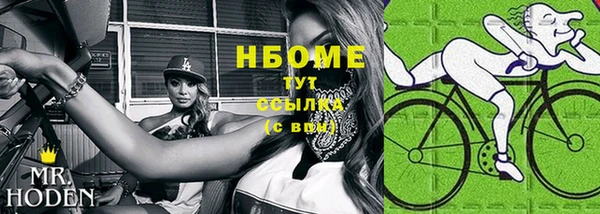 PSILOCYBIN Алзамай