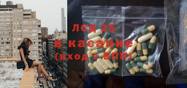 PSILOCYBIN Алзамай